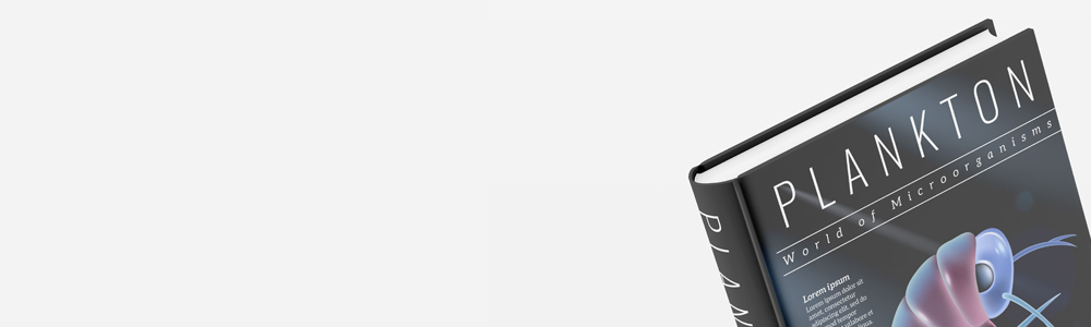 Stock certificate design example 1